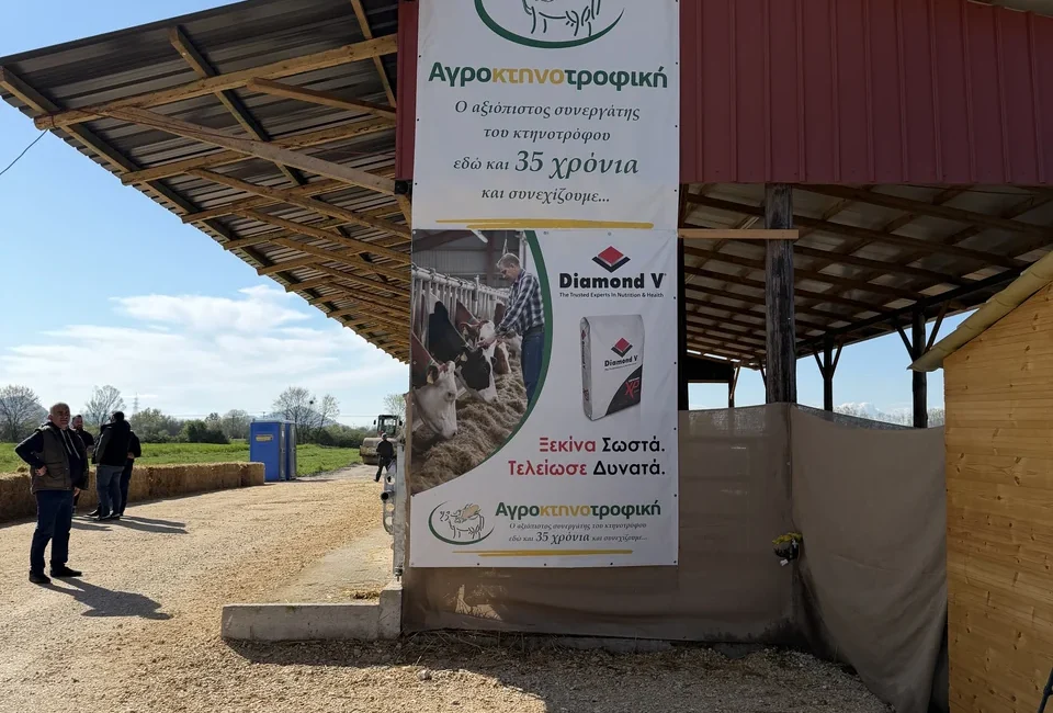 Φαρκαδόνα 2026